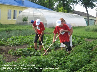 Конкурс 