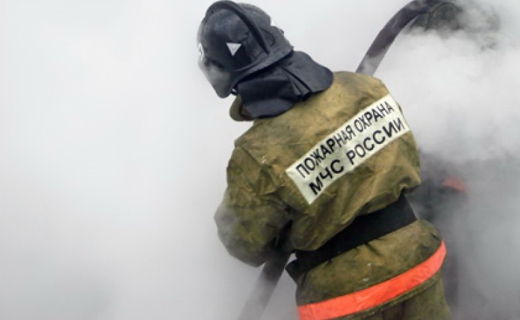 85-летняя пенсионерка сгорела в собственном доме