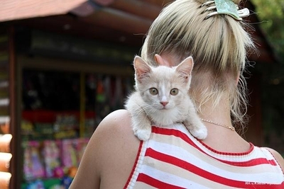 Жительницу Краснодара будут судить за убийство котенка на глазах у ребенка
