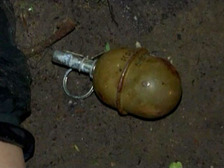 Пьяное застолье в Приморье завершилось взрывом гранаты