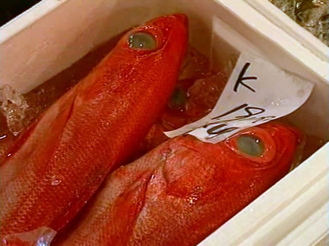 Эх, хвост, чешуя: мясной скандал сменился рыбным