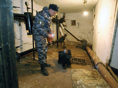 В подвале академии Минобороны обнаружен труп