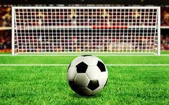 Нидерланды - Россия - 5:1.