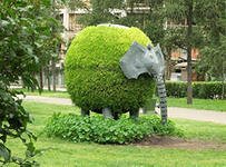 В Краснодаре приняты новые правила благоустройства территорий.