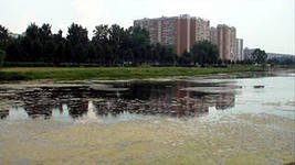 Человек стремиться к саморазрушению?