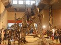 Восьмая ночь в музее.