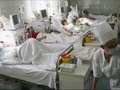 65 пострадали и 13 человек госпитализированы с признаками острой кишечной инфекции.